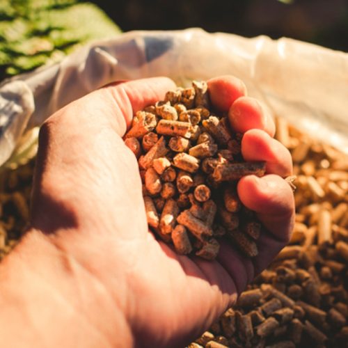 Leña para la chimenea: cuál es la mejor | Maderas Cepa